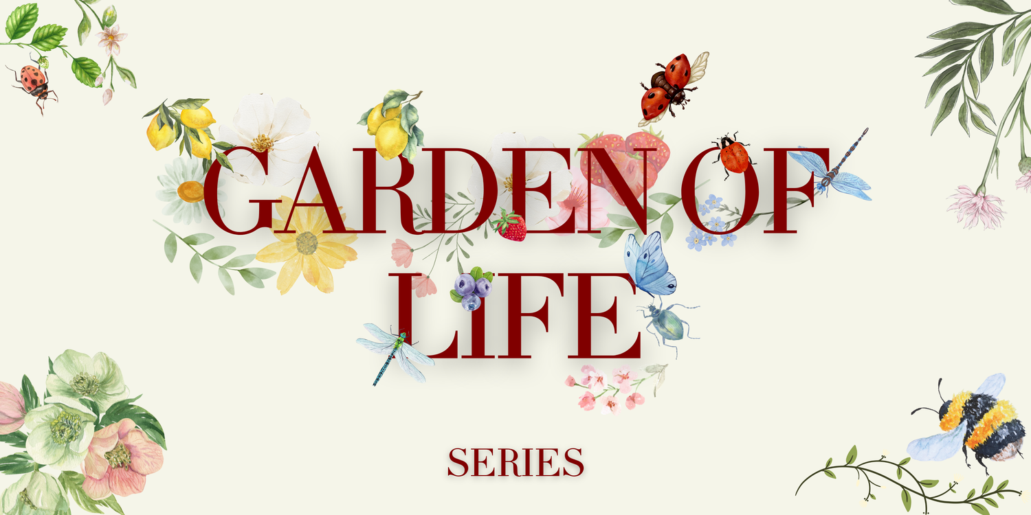 Best Seller Collection