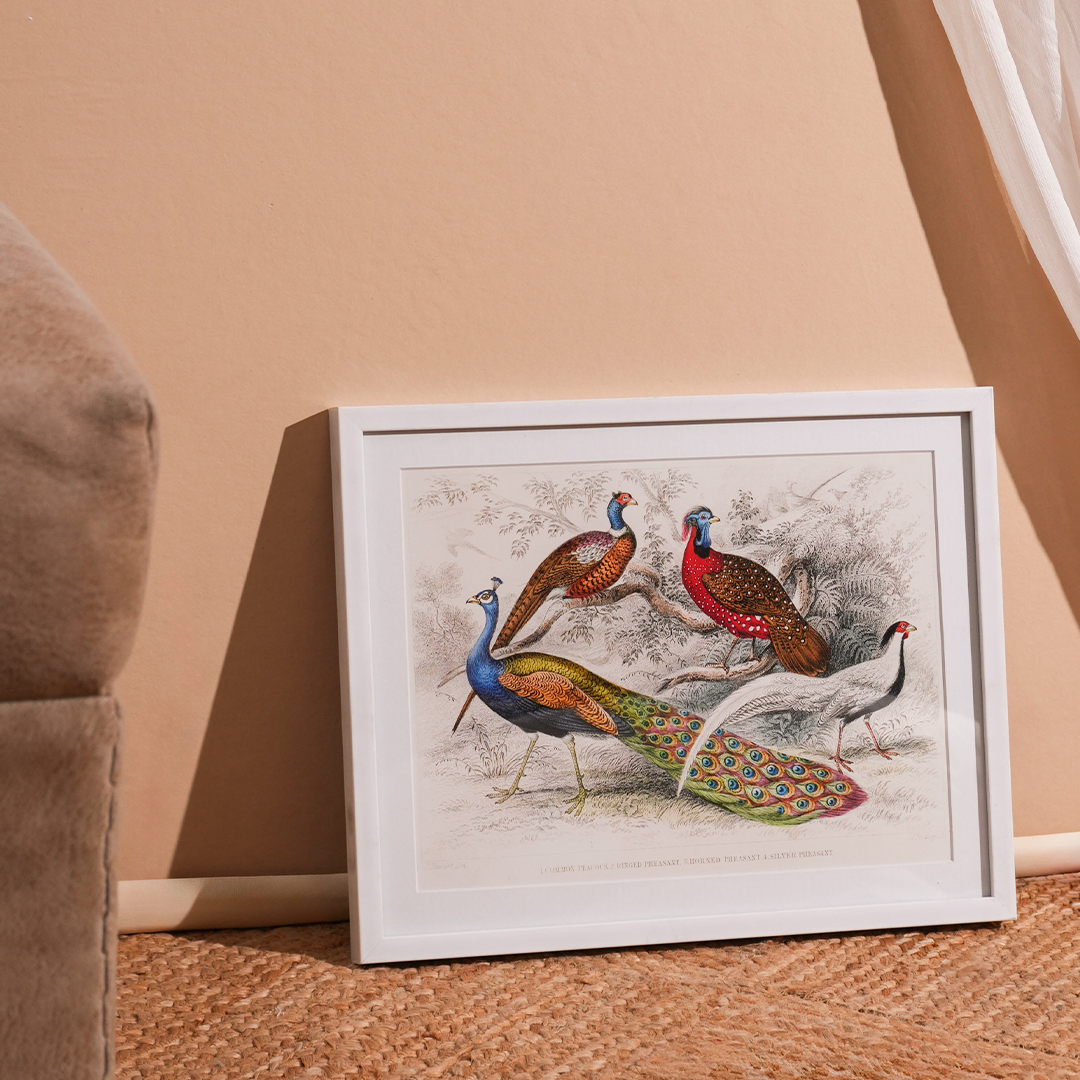 Vintage Peacock & Pheasants