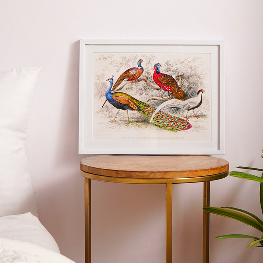 Vintage Peacock & Pheasants