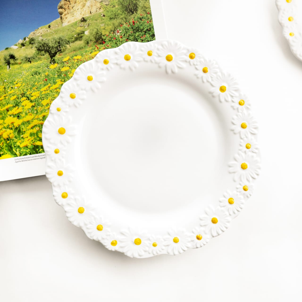 Large white bone china dinner plate with a scalloped edge and embossed white daisy flowers with yellow centers - Birdy Home Design